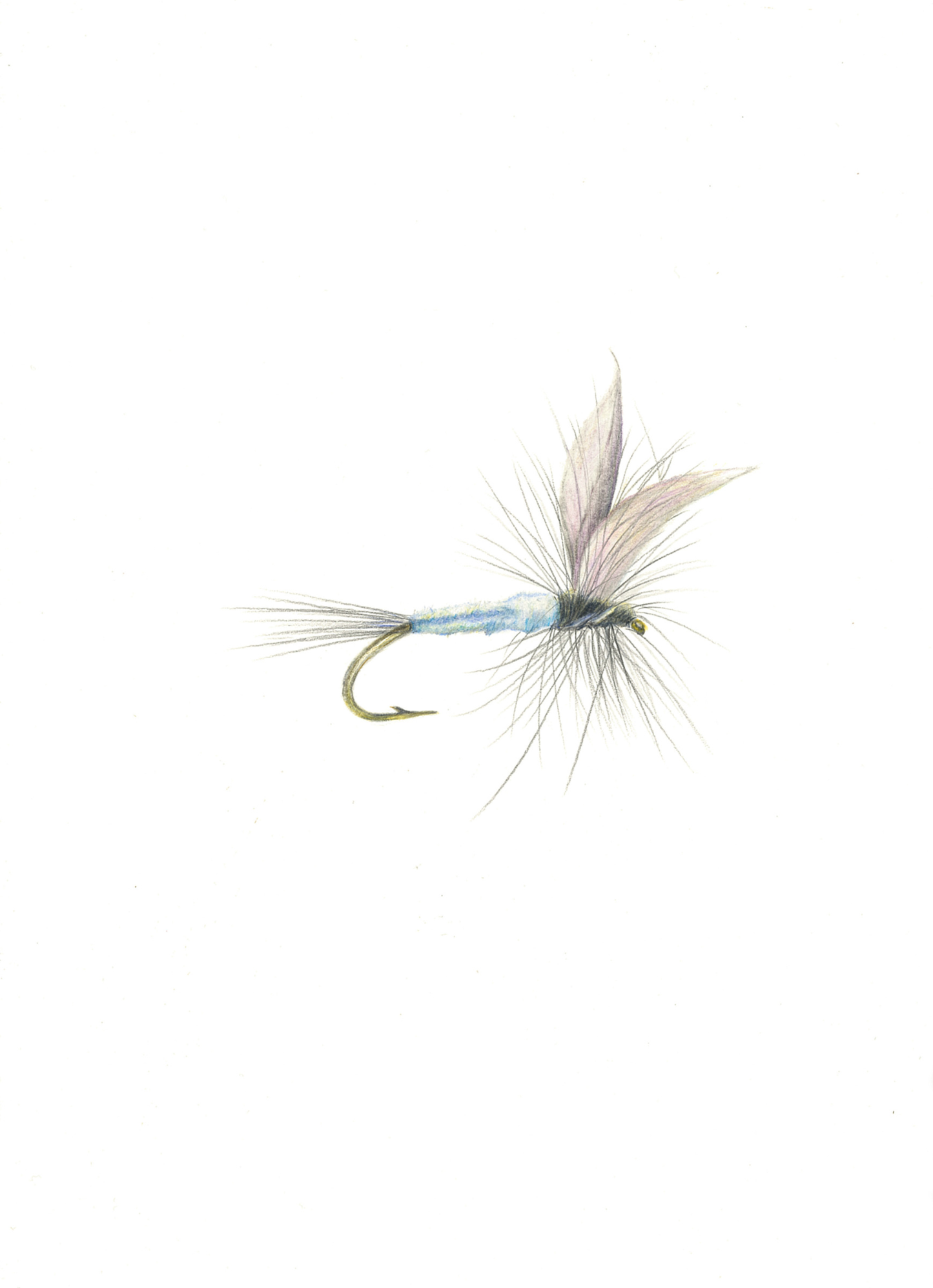 Blue Dunn